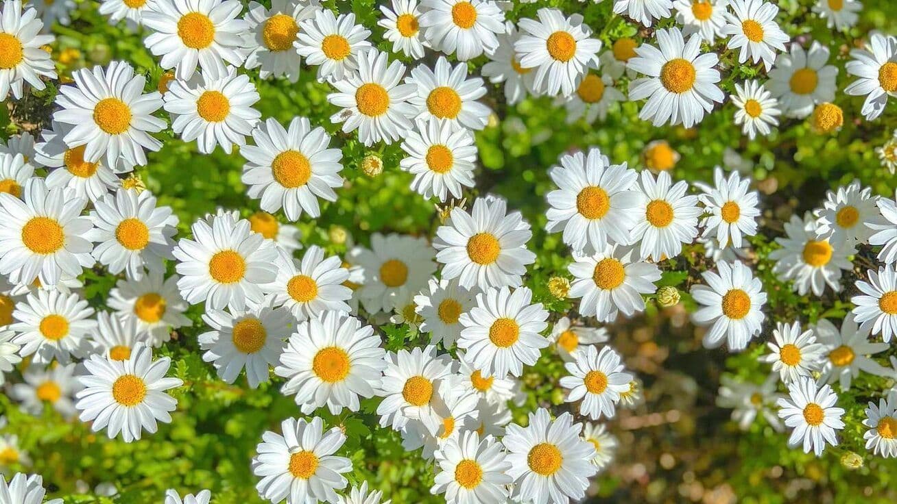 Spring Has Sprung: Blooming Styles for Every Body!